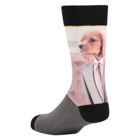 Sock My Dog