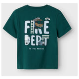Drew nreg ss top | Forest Biome