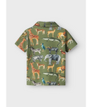 Jale ss polo | Oil Green