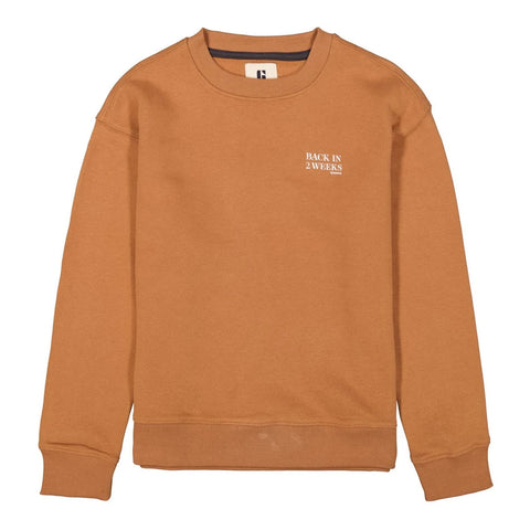 Sweater | Horn