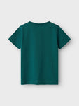 Dirch nreg ss top | Forest Biome