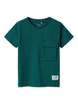 Dirch nreg ss top | Forest Biome