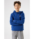 Hooded sweater | Royal