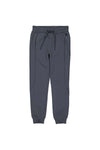 Dimitri sweatpants | Blue Grey