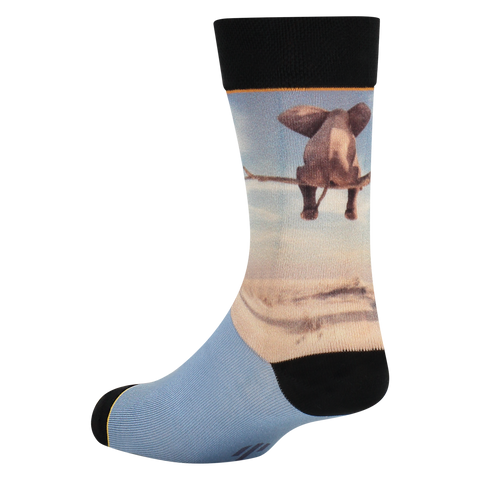 Sock My Elephant